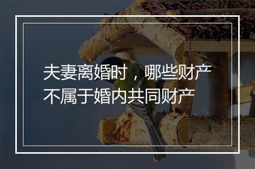 夫妻离婚时，哪些财产不属于婚内共同财产