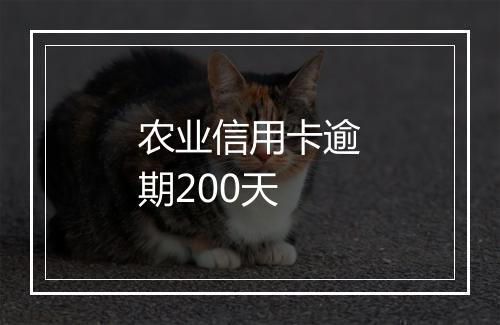 农业信用卡逾期200天
