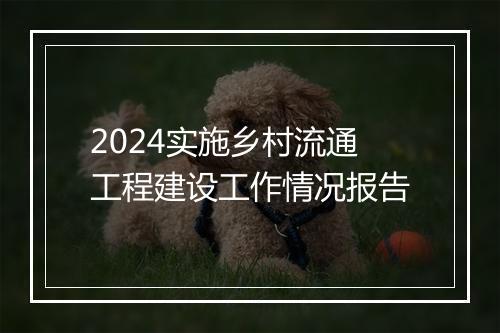 2024实施乡村流通工程建设工作情况报告