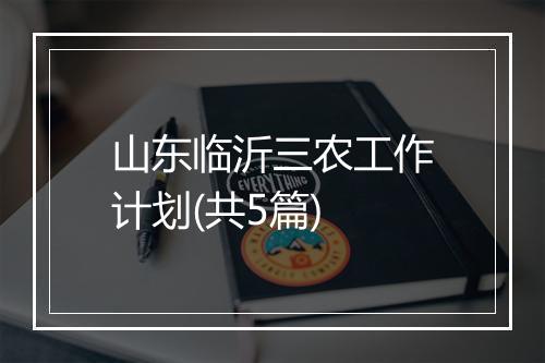 山东临沂三农工作计划(共5篇)