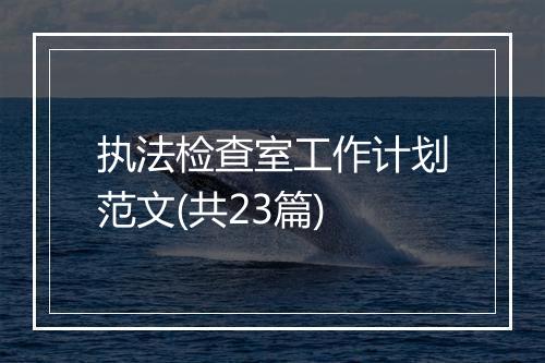 执法检查室工作计划范文(共23篇)
