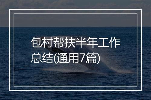 包村帮扶半年工作总结(通用7篇)
