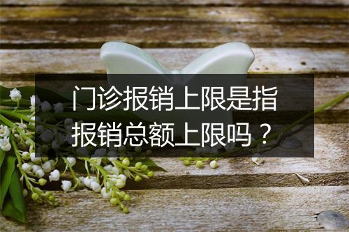 门诊报销上限是指报销总额上限吗？