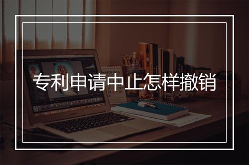专利申请中止怎样撤销