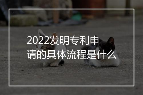 2022发明专利申请的具体流程是什么