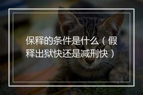 保释的条件是什么（假释出狱快还是减刑快）