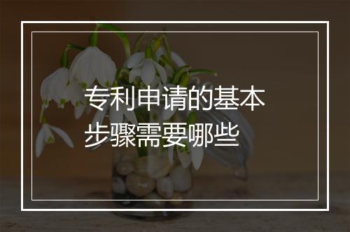 专利申请的基本步骤需要哪些