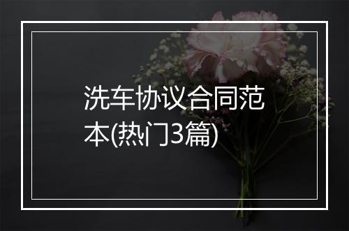 洗车协议合同范本(热门3篇)