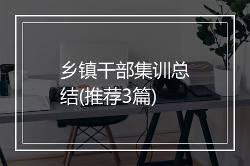 乡镇干部集训总结(推荐3篇)