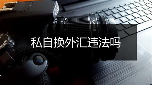 私自换外汇违法吗