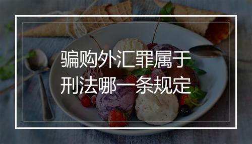 骗购外汇罪属于刑法哪一条规定