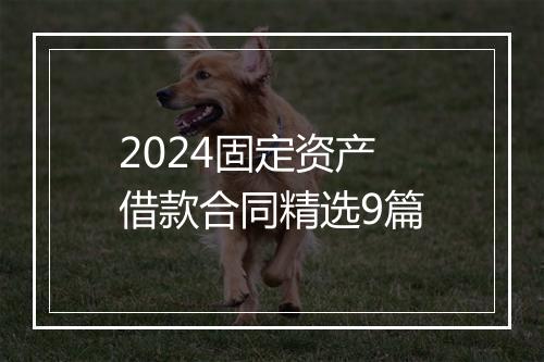 2024固定资产借款合同精选9篇