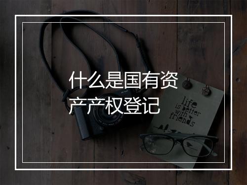 什么是国有资产产权登记