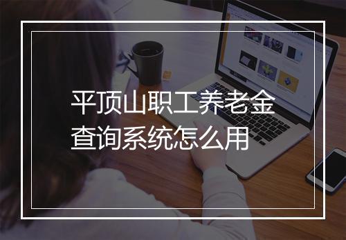 平顶山职工养老金查询系统怎么用