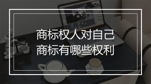 商标权人对自己商标有哪些权利