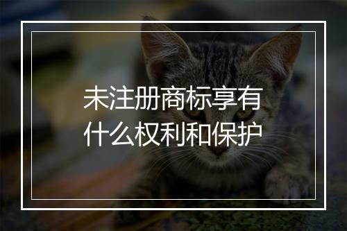 未注册商标享有什么权利和保护