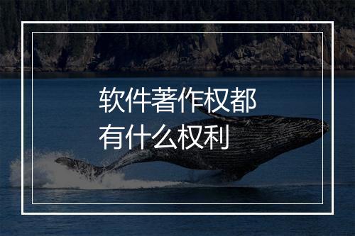 软件著作权都有什么权利