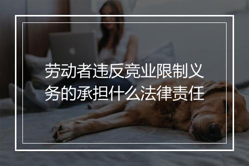劳动者违反竞业限制义务的承担什么法律责任