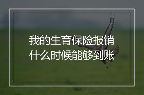 我的生育保险报销什么时候能够到账