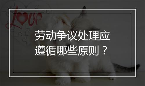 劳动争议处理应遵循哪些原则？