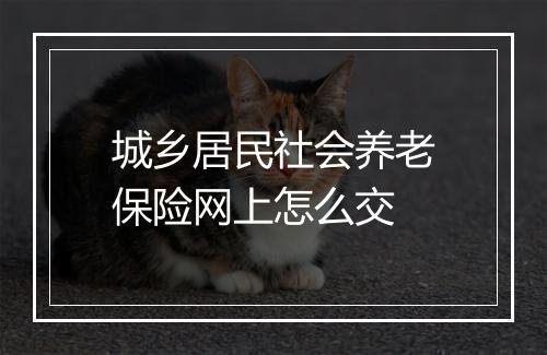 城乡居民社会养老保险网上怎么交
