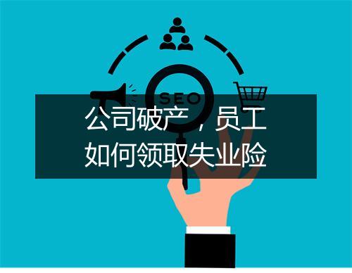 公司破产，员工如何领取失业险