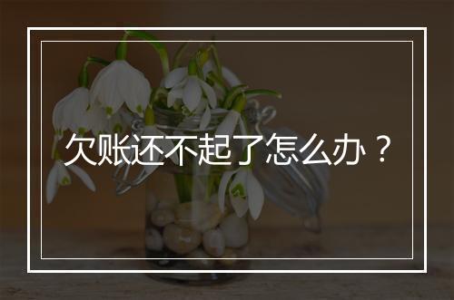 欠账还不起了怎么办？
