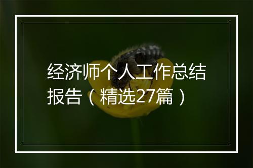 经济师个人工作总结报告（精选27篇）