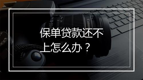 保单贷款还不上怎么办？