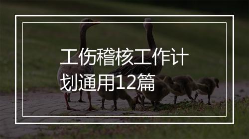 工伤稽核工作计划通用12篇