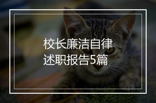 校长廉洁自律述职报告5篇