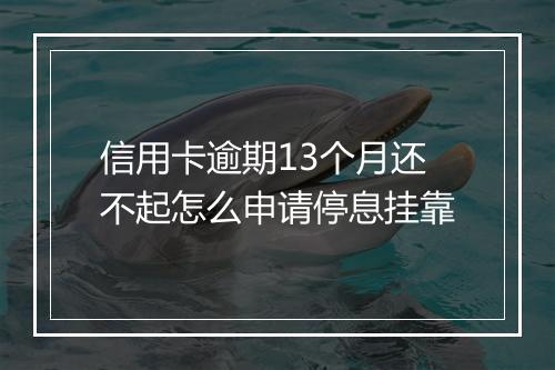 信用卡逾期13个月还不起怎么申请停息挂靠