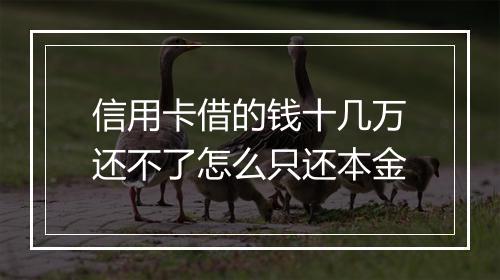信用卡借的钱十几万还不了怎么只还本金