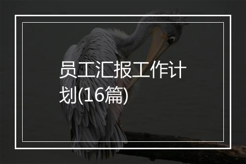 员工汇报工作计划(16篇)