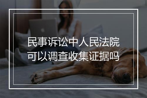 民事诉讼中人民法院可以调查收集证据吗