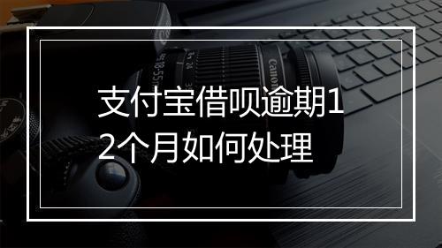 支付宝借呗逾期12个月如何处理
