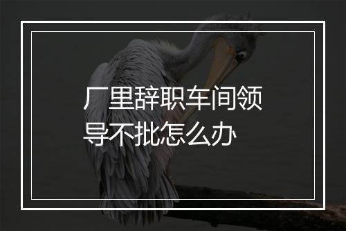 厂里辞职车间领导不批怎么办