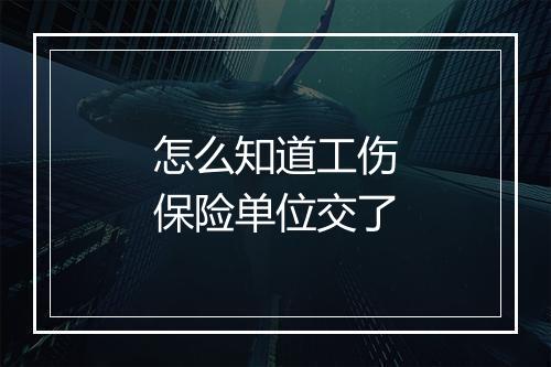 怎么知道工伤保险单位交了
