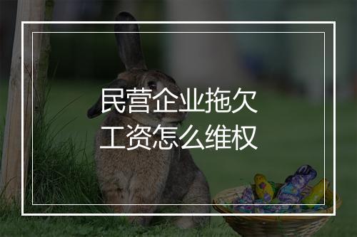 民营企业拖欠工资怎么维权