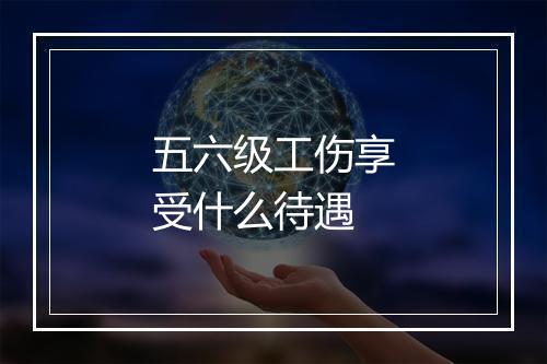五六级工伤享受什么待遇