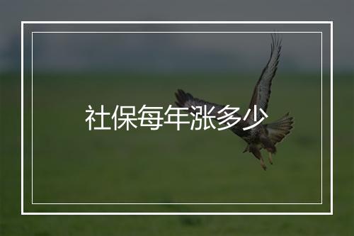 社保每年涨多少