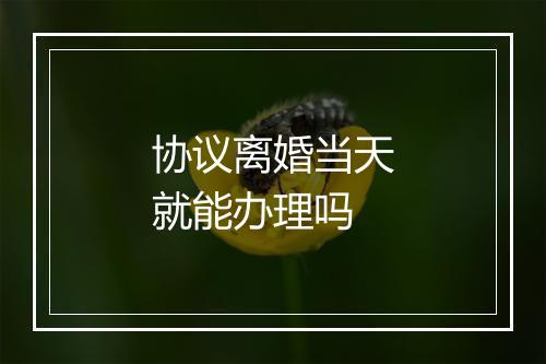 协议离婚当天就能办理吗