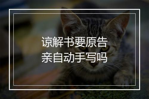 谅解书要原告亲自动手写吗