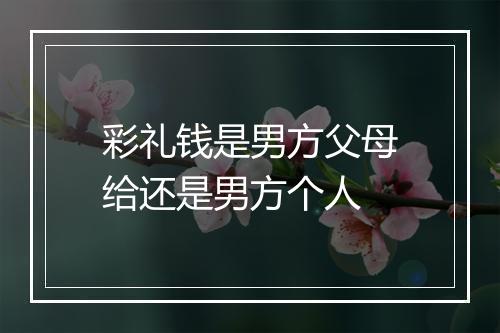彩礼钱是男方父母给还是男方个人