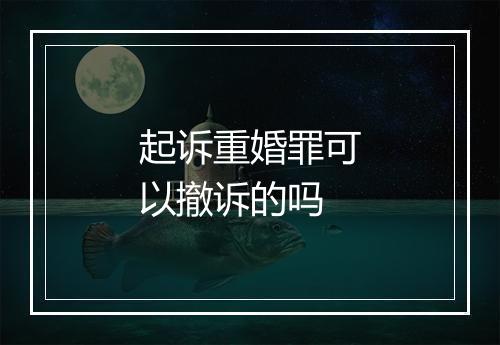 起诉重婚罪可以撤诉的吗