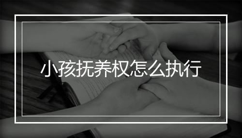 小孩抚养权怎么执行