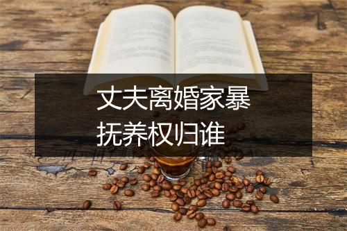 丈夫离婚家暴抚养权归谁