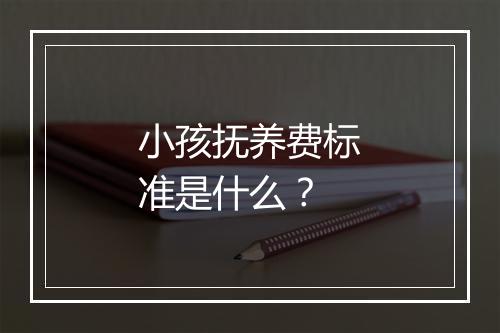 小孩抚养费标准是什么？