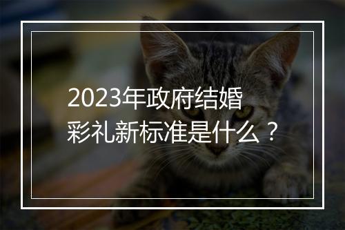 2023年政府结婚彩礼新标准是什么？