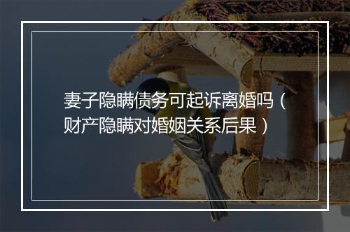 妻子隐瞒债务可起诉离婚吗（财产隐瞒对婚姻关系后果）